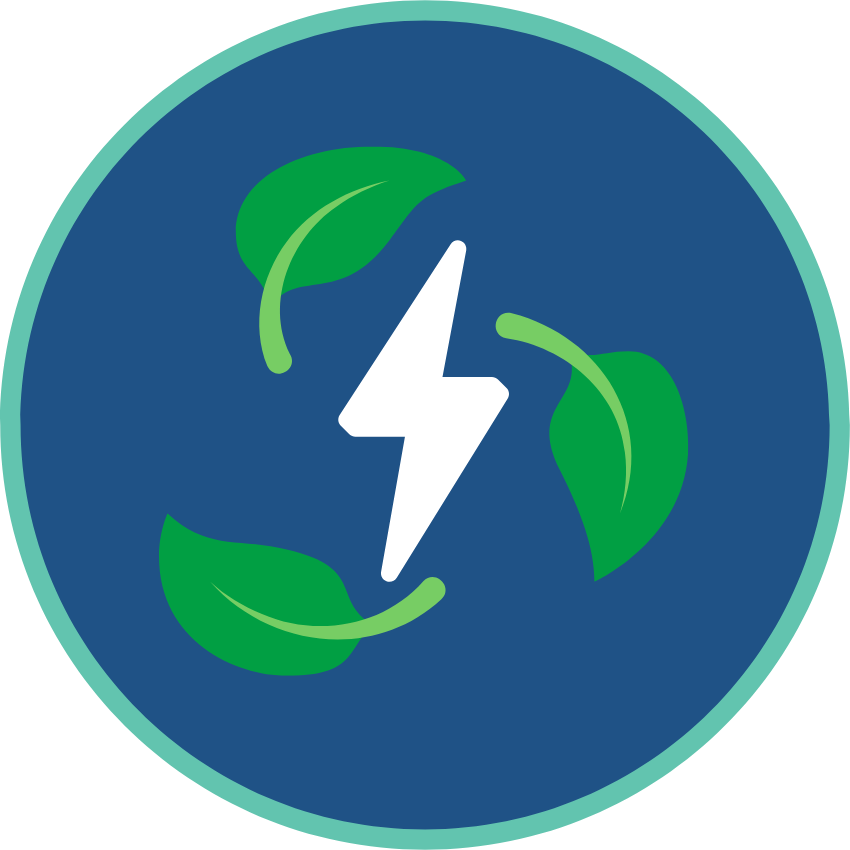 Cleaner, Greener Fleet